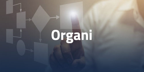 Organi